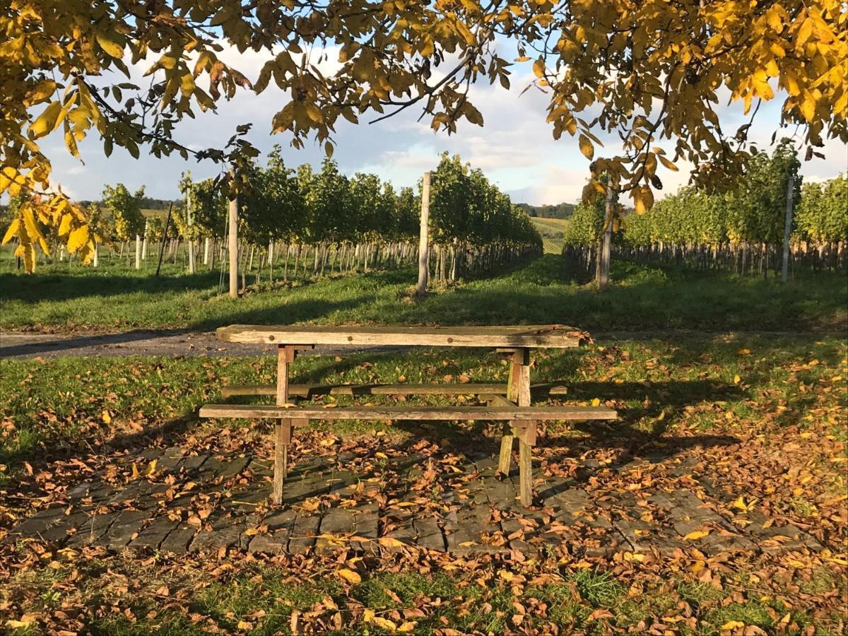 Weingut & Gaestezimmer Edelmann Göttlesbrunn Екстериор снимка